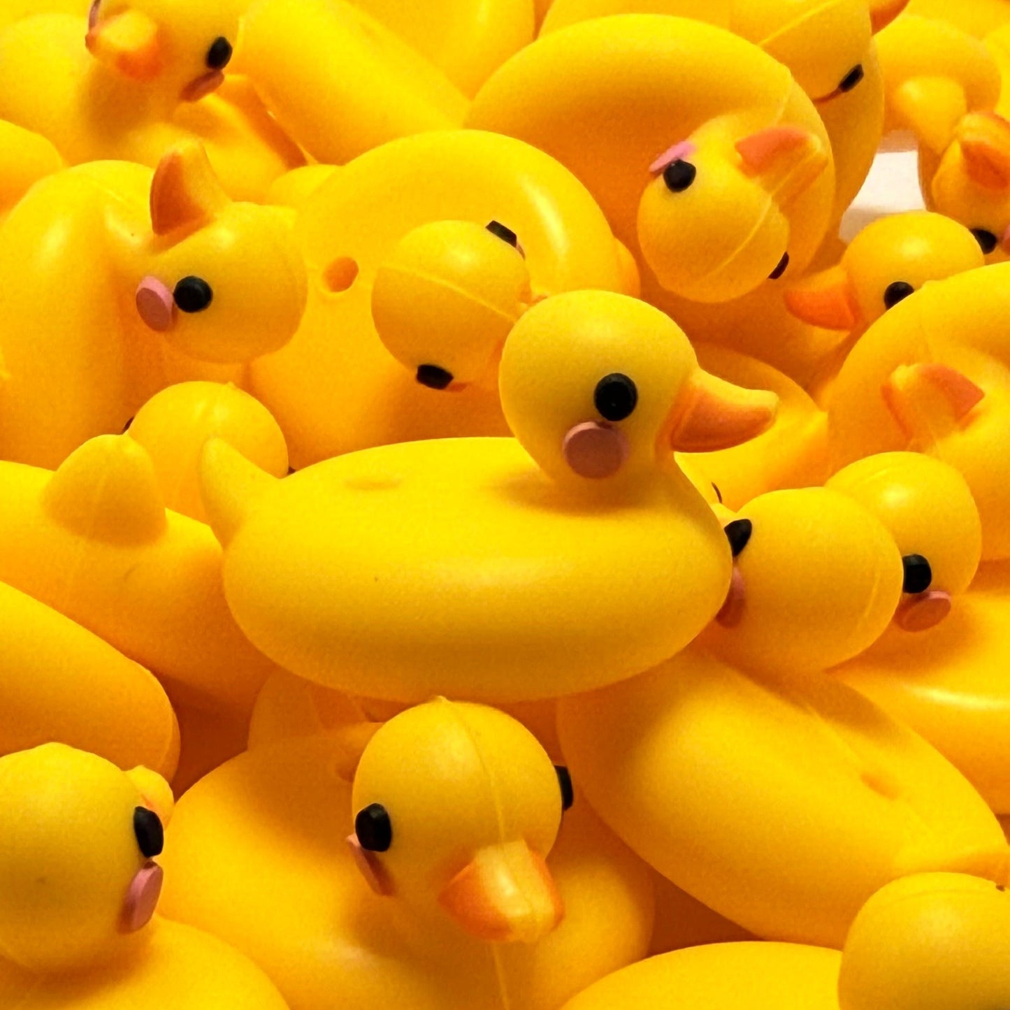 Quack Me Up 3D Duck Silicone Focal Beads
